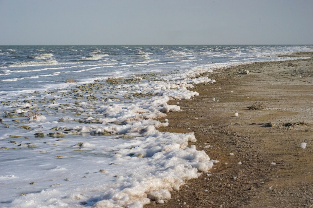 The foamy edge of the Aral Sea with its strange foam