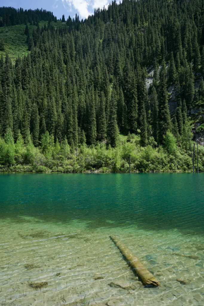 Layers of different water colors ranging from clear to deep turquoise