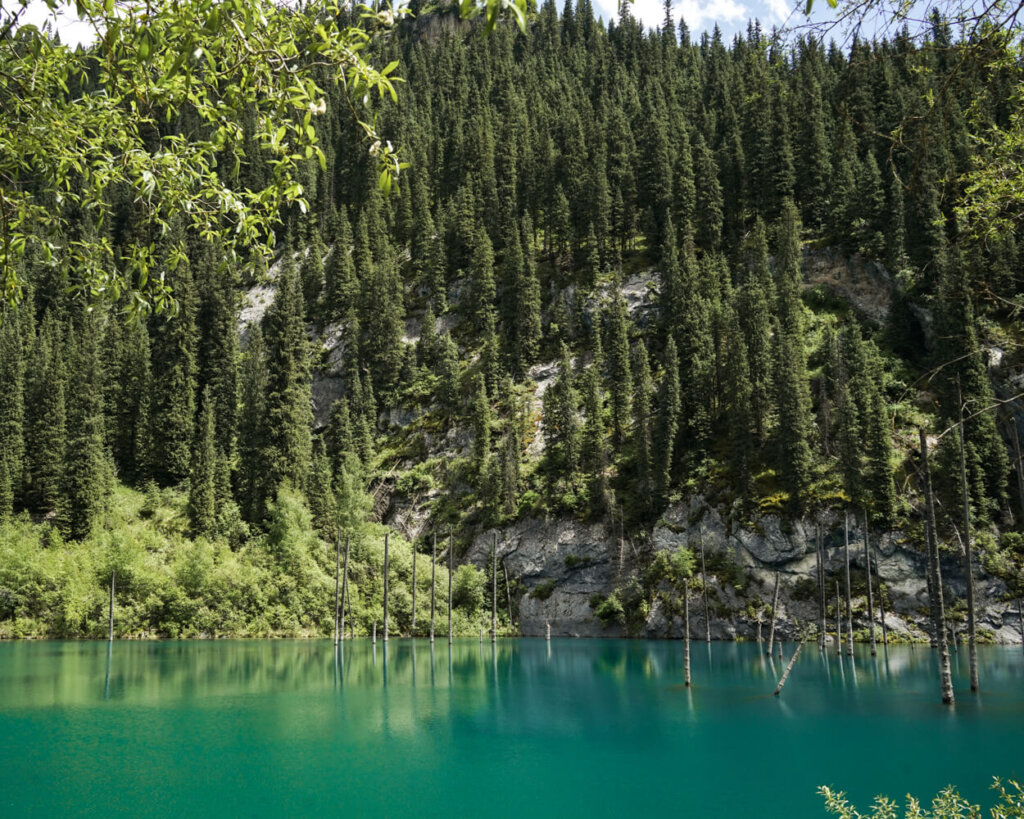 The beautiful blue waters of Kaindy Lake with the trees around it and tree trunks emerging from the water